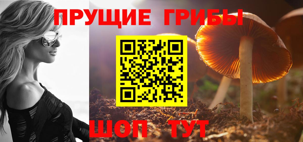 Гудермес  даркнет сайт  Вход с VPN  Псилоцибиновые грибы мухоморы 